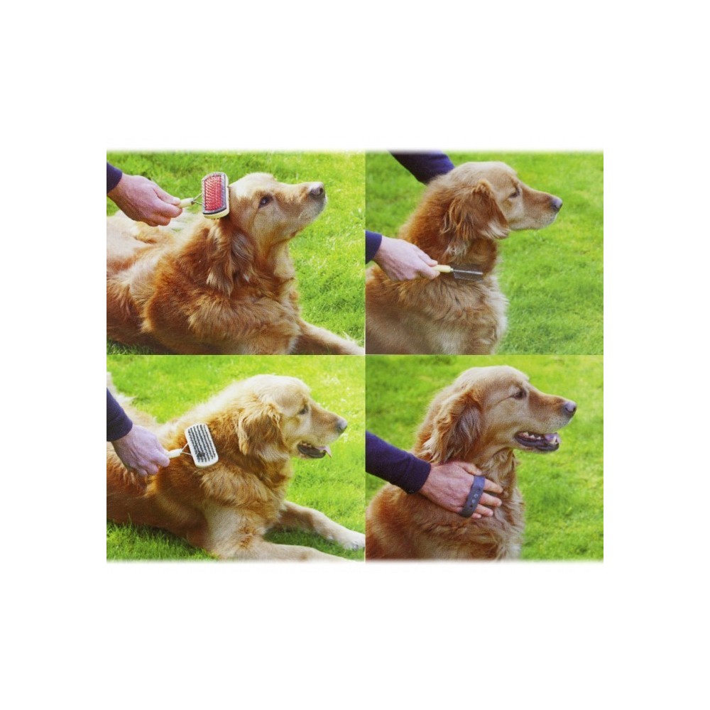 82009 PET Kit 3 pièces pour le nettoyage et l'entretien de notre chien