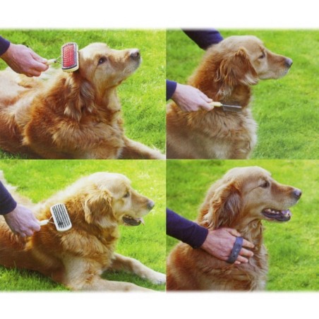 82009 PET Kit 3 pièces pour le nettoyage et l'entretien de notre chien