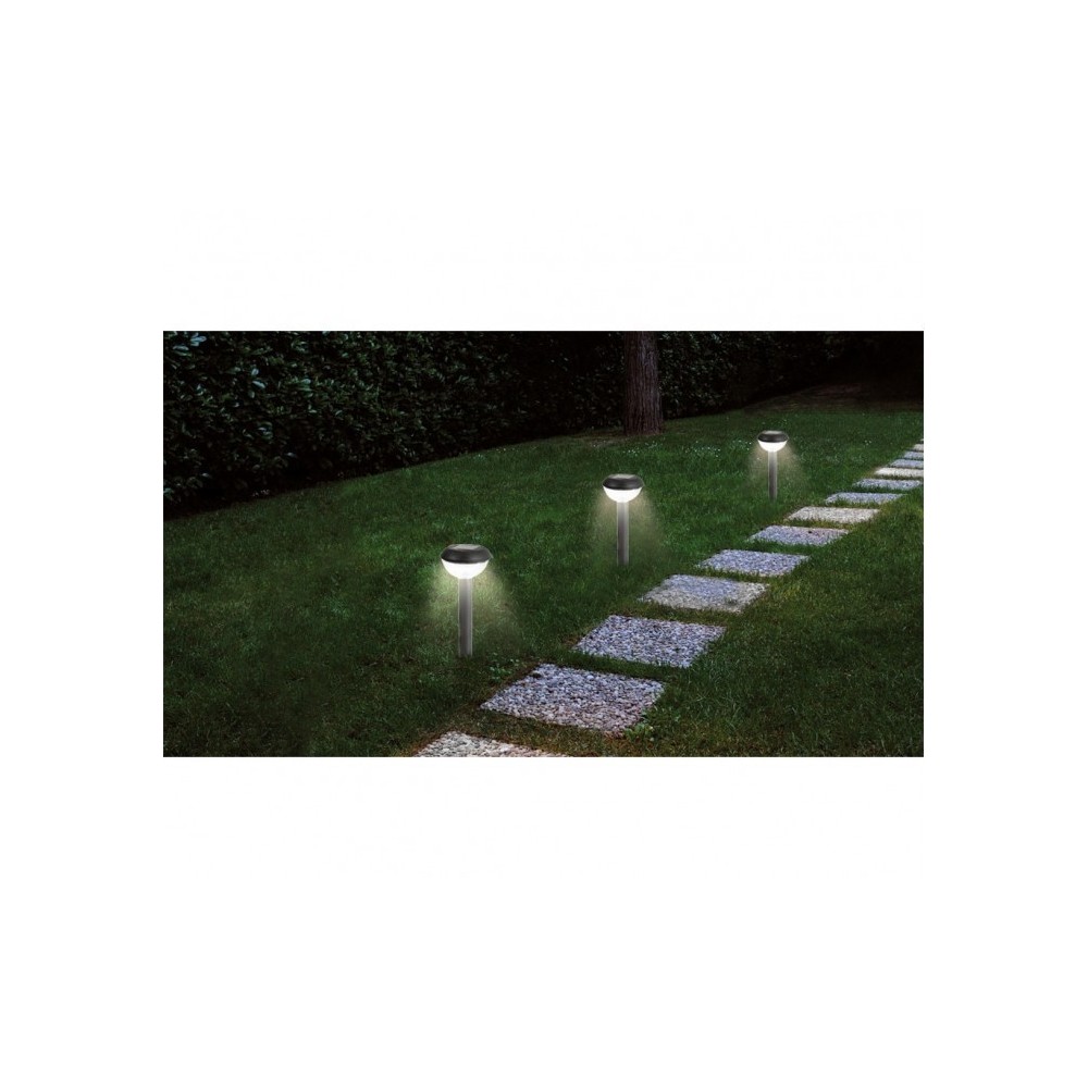 52783 Set de 4 lampes LED 25 cm à énergie solaire blanche froide 