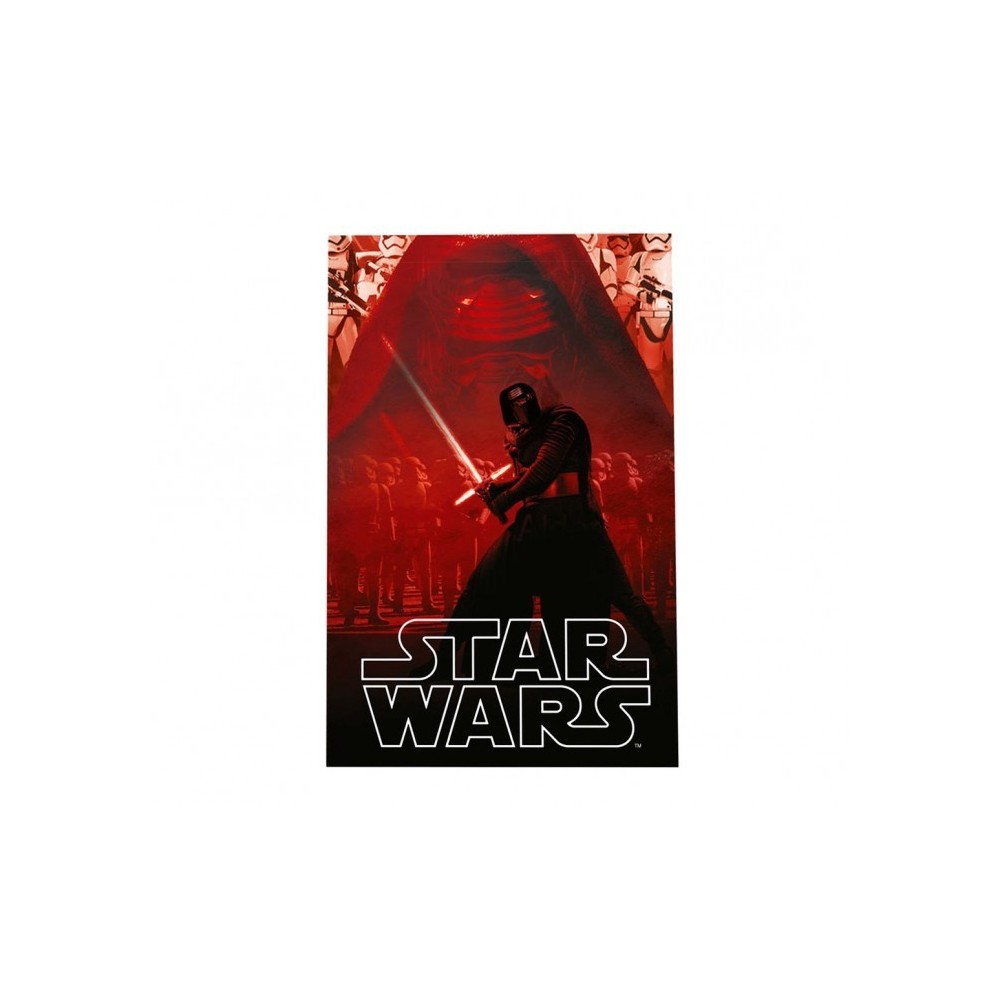 SWE70258 Couverture polaire douce et chaude KYLO REN Star ...