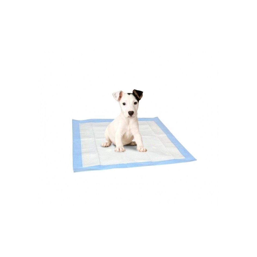 629313 Pack 12 tapis absorbants pour chiens et chats 60x60 cm capte les odeurs