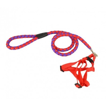 Harnais avec laisse courte 120 cm ART 5823 bicolore pour petits chiens