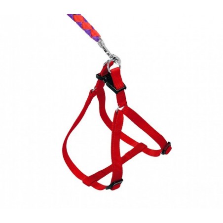 Harnais avec laisse courte 120 cm ART 5823 bicolore pour petits chiens