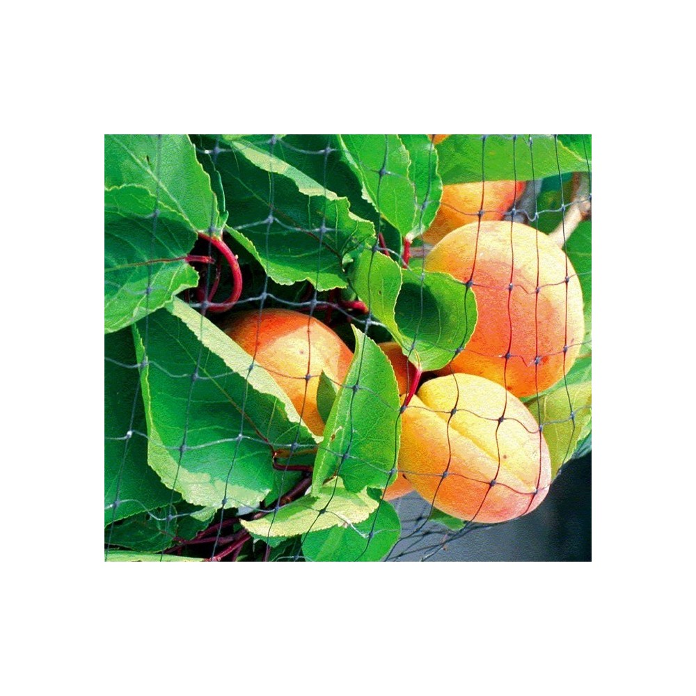 290034 Filet en nylon pour couvrir et créer des enclos pour les animaux 4 x 10 m