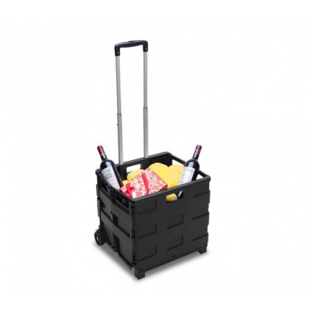 334115Chariot de course trolley pliable en plastique 25 kg max