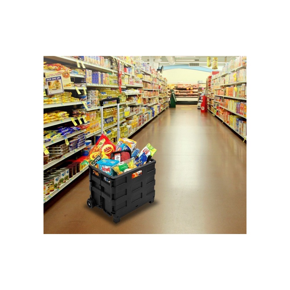 334115Chariot de course trolley pliable en plastique 25 kg max