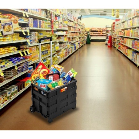 334115Chariot de course trolley pliable en plastique 25 kg max