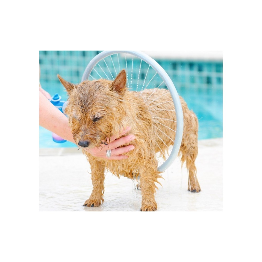 Système innovant pour le lavage des chiens 360° 776622 WASH DOG anneau ø 31 cm