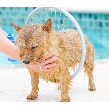 Système innovant pour le lavage des chiens 360° 776622 WASH DOG anneau ø 31 cm
