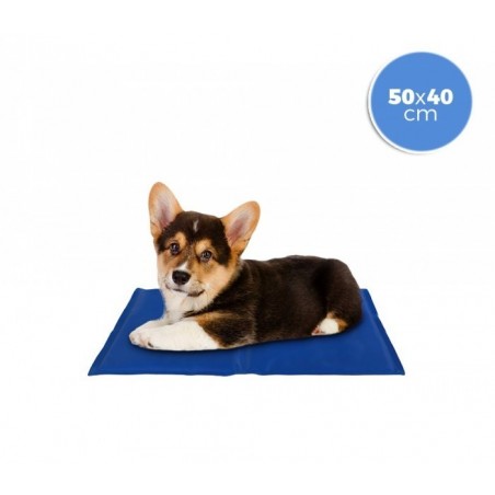 37102 Tapis rafraîchissant 40x50 cm pour chien petit taille avec un gel actif  37102 Tapis rafraîchissant 40x50 cm pour chien petit taille avec un gel actif