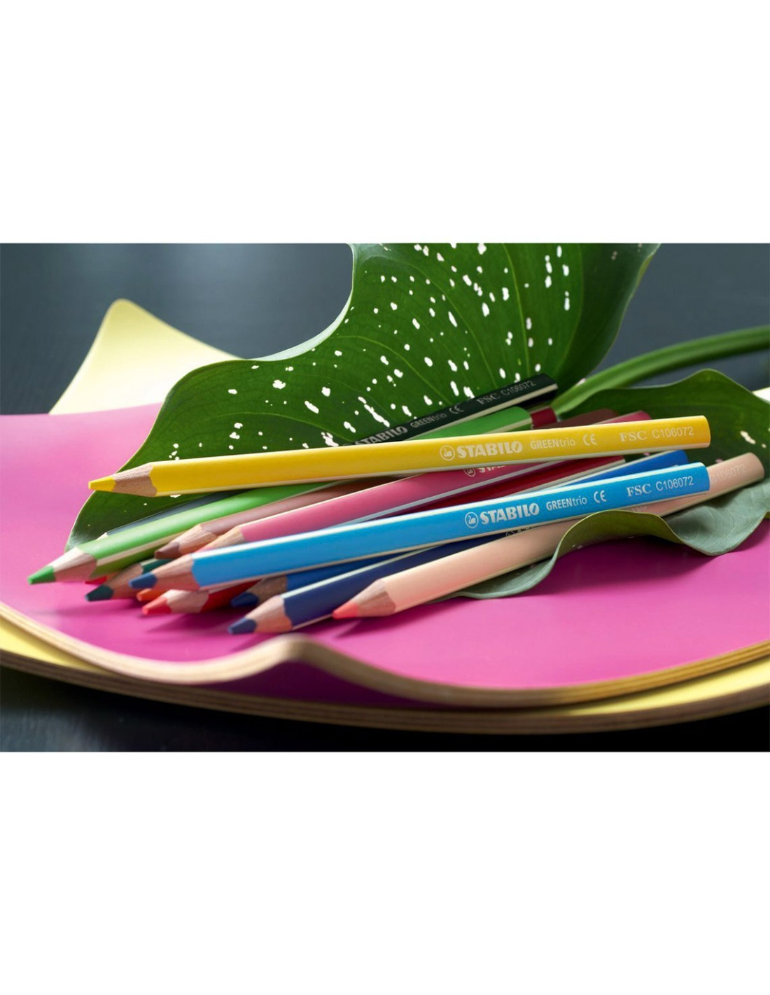 MAXI CRAYONS DE COULEUR GreenTrio