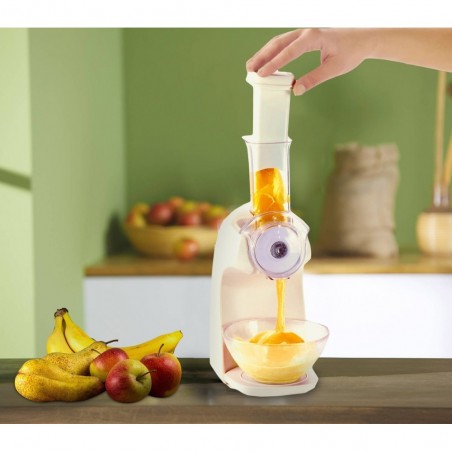 017248 Sorbetière DICTROLUX FREEZIE machine à sorbet sains et naturels 200 W