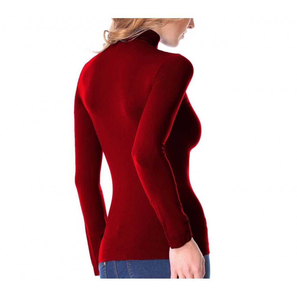 VKA21 Pack de 5 sous-pulls thermiques doublure polaire ass. Nadia col cheminée