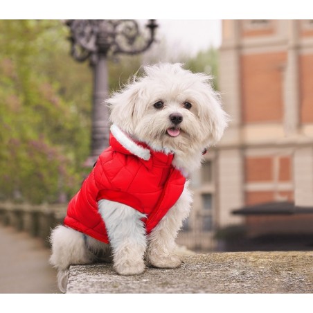 243448 Déguisement PERE NOËL pour chiens de petite/moyenne taille 243448 Déguisement PERE NOËL pour chiens de petite/moyenne taille