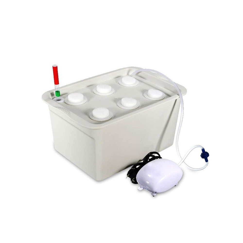 4496 Kit système de culture HYDROPONIQUE boîte 6 trous 41,3x27,6 cm et pompe àir