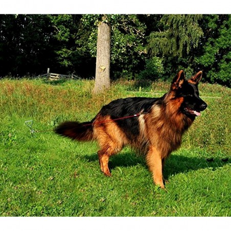 Foret à main modifier Foret à main modifier