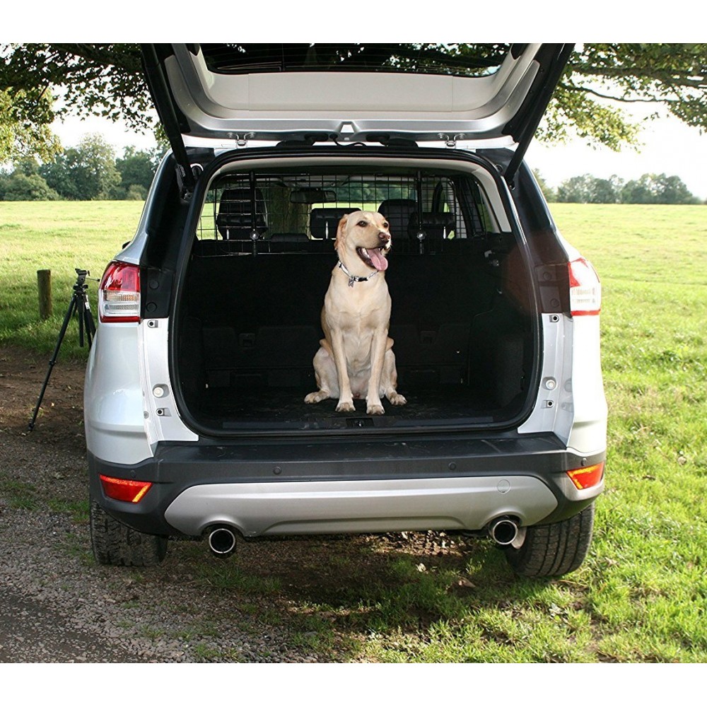 Grille de séparation et de sécurité extensible pour voiture