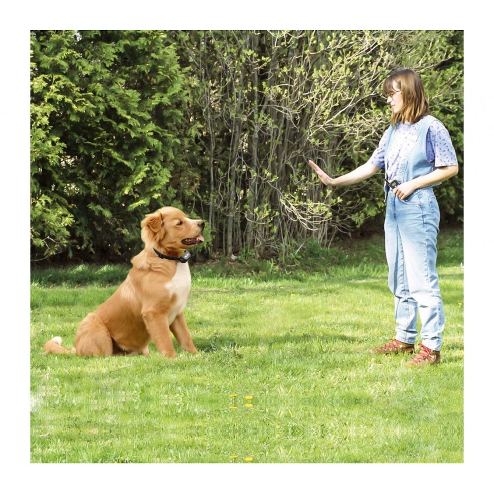 4565 Collier de dressage pour chien à vibrations écran LCD