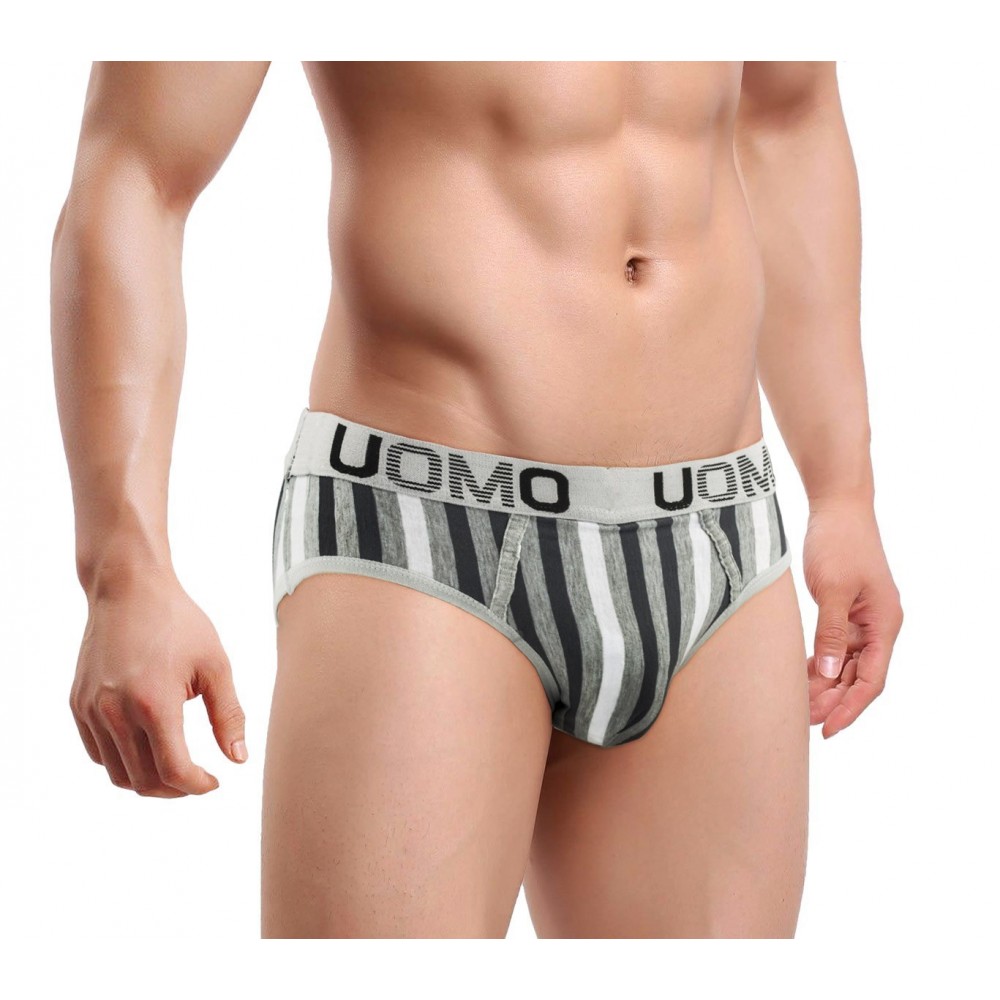 891060 Pack de 12 slips pour homme HERREN modèle MAVERICK tailles S à XXL