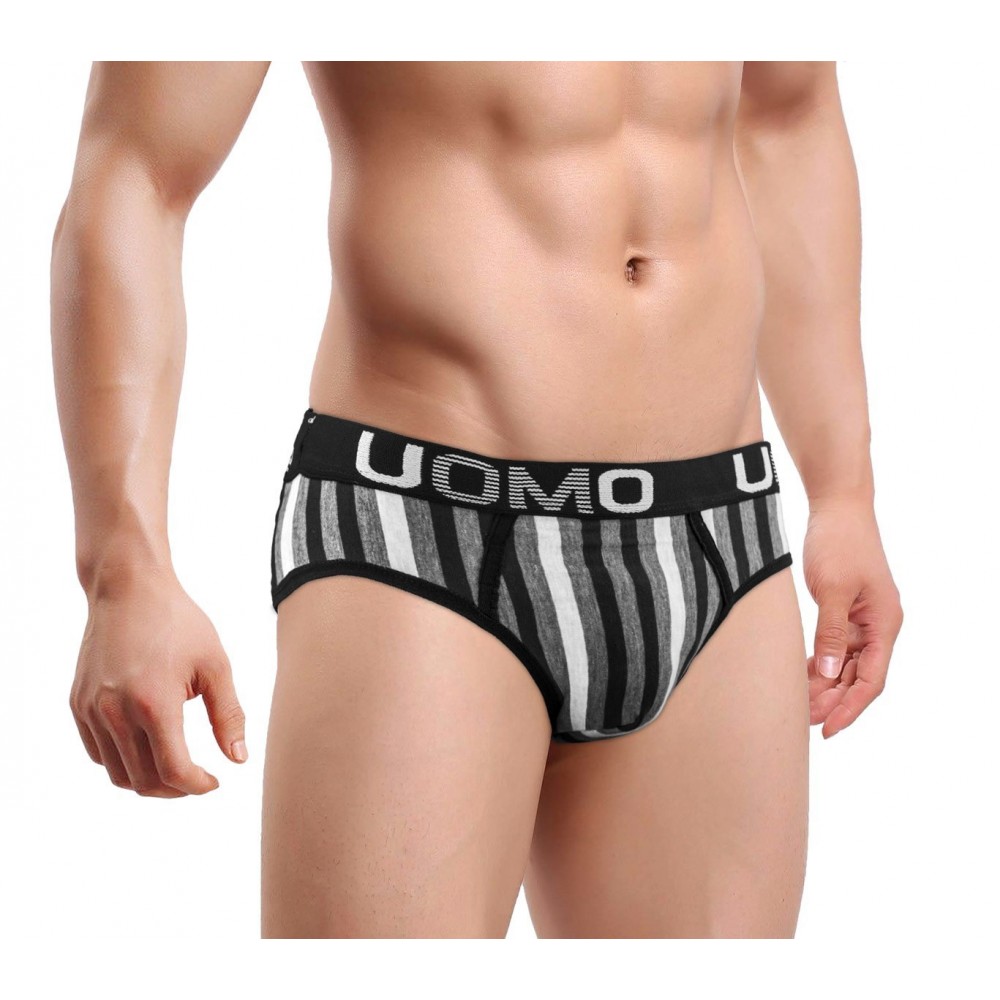 891060 Pack de 12 slips pour homme HERREN modèle MAVERICK tailles S à XXL