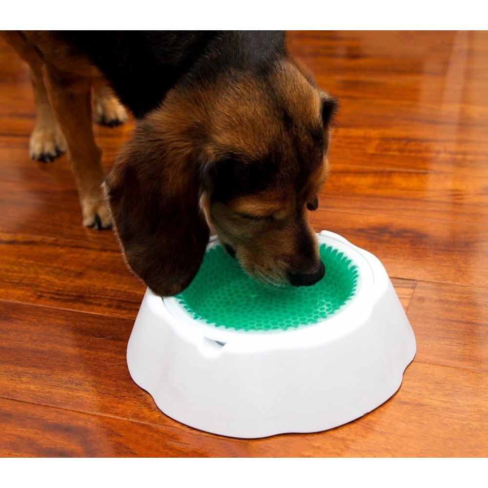 955483 Gamelle automatique programmable PET FEEDER pour chien et chat avec timer