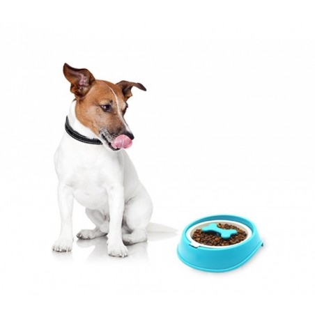 060360 Gamelle original pour chiens chats anti-asphyxie, meilleur digestion 15cm 060360 Gamelle original pour chiens chats anti-asphyxie, meilleur digestion 15cm
