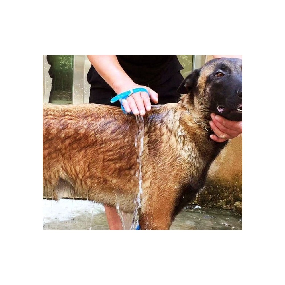 255470 Pet Scrub système de lavage pour chien avec éponge et pompe à eau