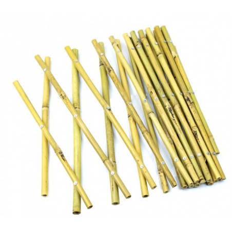 377505 Clôture en bambou extensible pour plantes ou support murale   30x240 cm