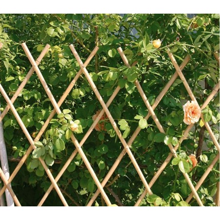 377505 Clôture en bambou extensible pour plantes ou support murale   30x240 cm