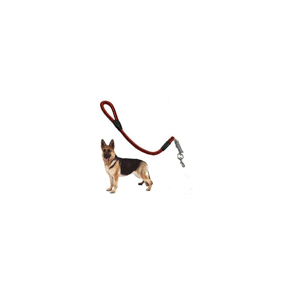 Laisse pour chien de 80 cm en nylon - noire