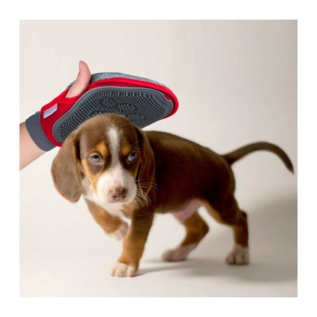 001705 Gant brosse NOBILITY pour enlever les poils morts des animaux