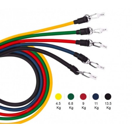 Ensemble de bandes élastiques et tendeurs pour entrainement et réhabilitation
