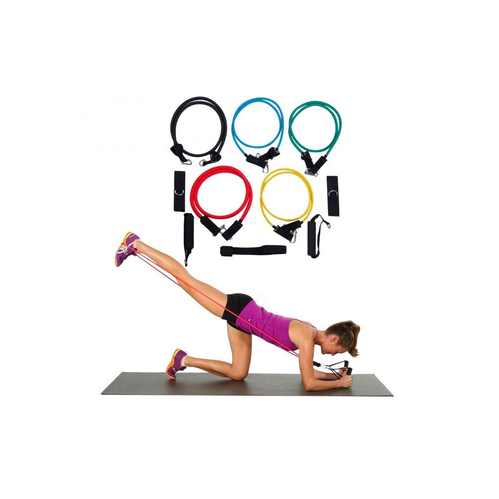 Ensemble de bandes élastiques et tendeurs pour entrainement et réhabilitation