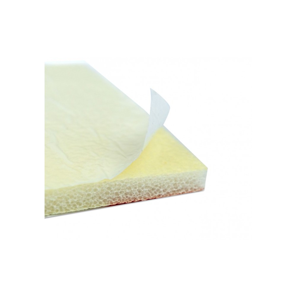 1810 05 Geko Box Large 4  Panneaux adhésifs...