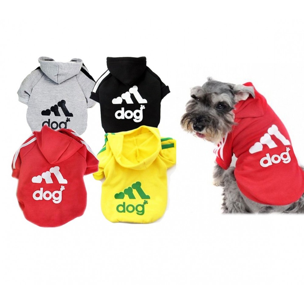 Sweat à capuche sportif pour chiens de petite taille en plusieurs couleurs