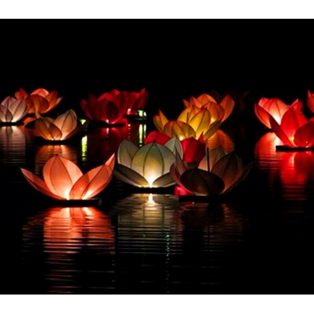 747011 Pack de 6 lanternes flottantes fleurs de lotus 30x30cm couleurs mélangées