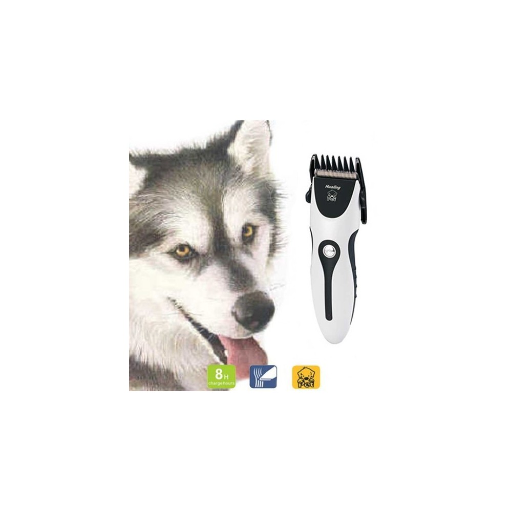 Tondeuse clipper pour chien chat - ZOWAEL