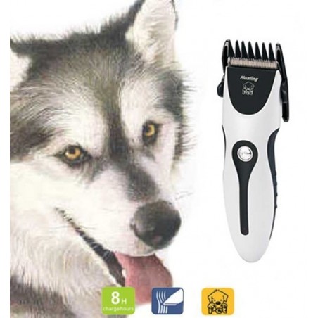 Tondeuse clipper pour chien chat - ZOWAEL