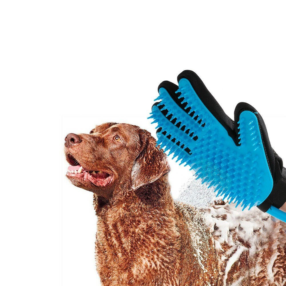 Gant 2 en 1 pour animal lavage et massage  avec...