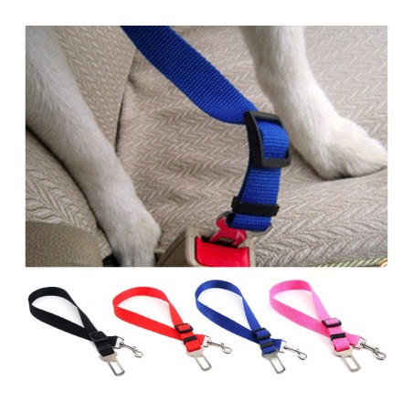 Laisse ceinture avec crochet pour ceinture de sécurité auto - Protection animaux