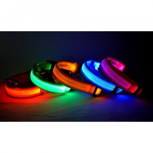 FUBUCA Collier réglable LED pour chiens avec charge...