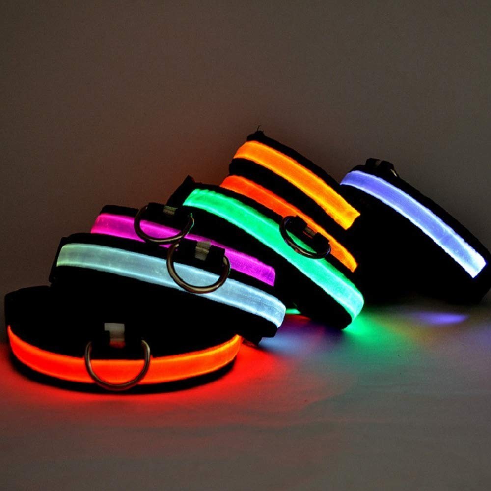 FUBUCA Collier réglable LED pour chiens avec...