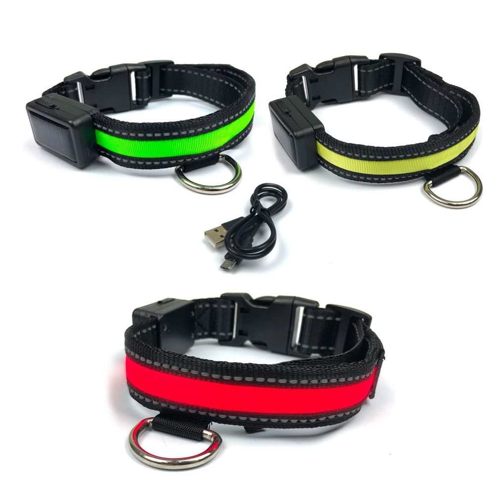 FUBUCA Collier réglable LED pour chiens avec...