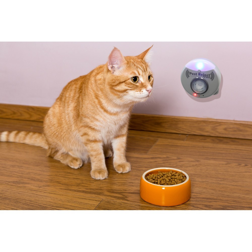 031359 Répulsif pour insectes et rats Stop...