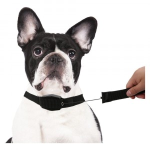 166004 Collier élastique pour chiens de taille moyenne ou... 2
