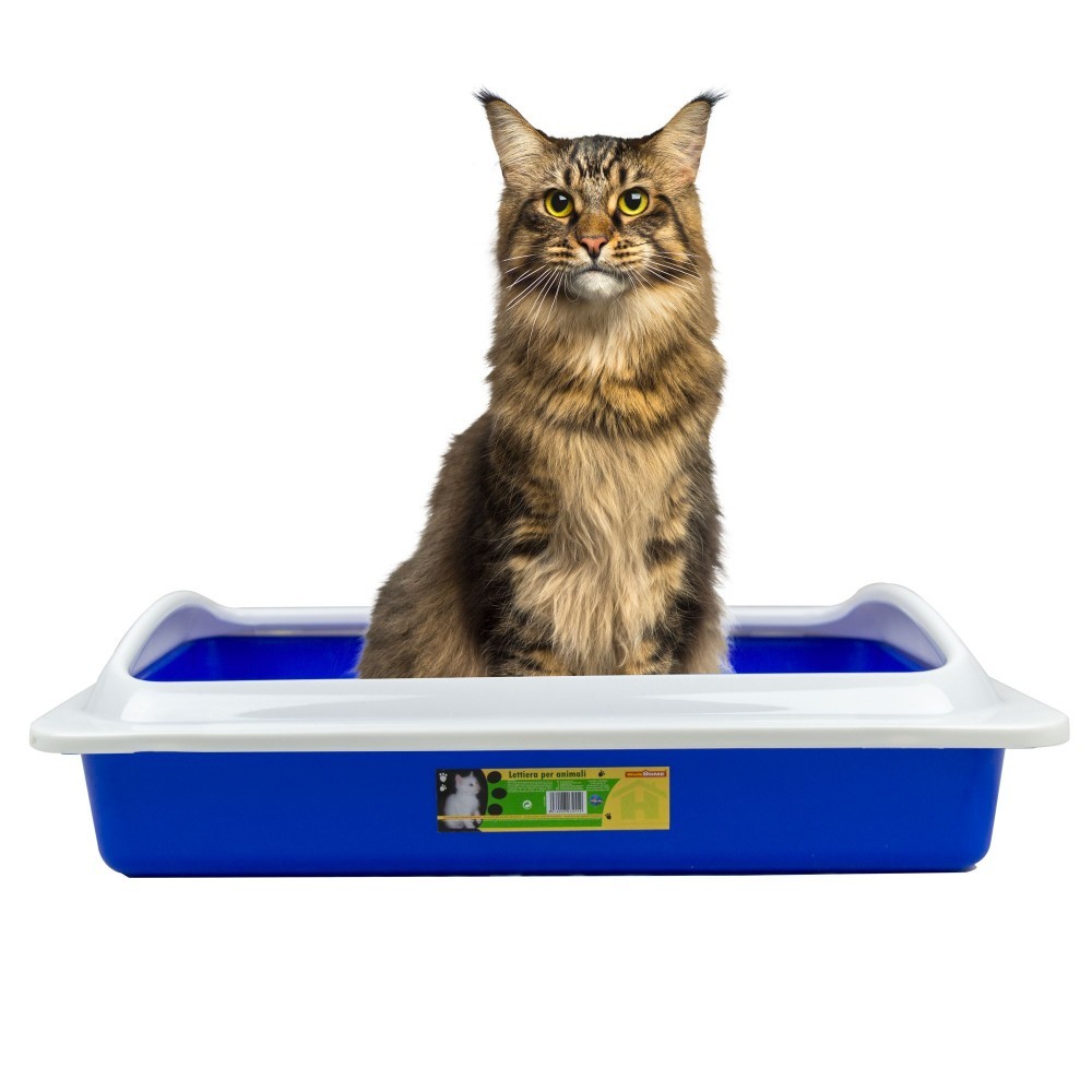 034552 Litière pour chat WELKHOME avec rebord...