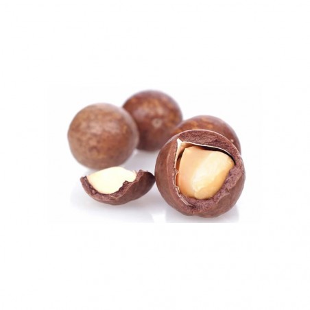 Paquet de 500gr noix de Macadamia en coque avec ouvre-noix