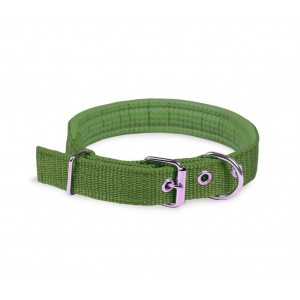 Collier pour chien mod. Phoenix rembourré boucle de fermeture réglable -taille M