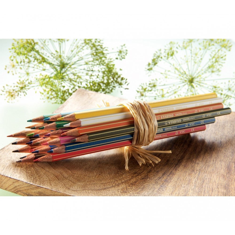 6019/2-24 Étui carton de 24 crayons de couleur...