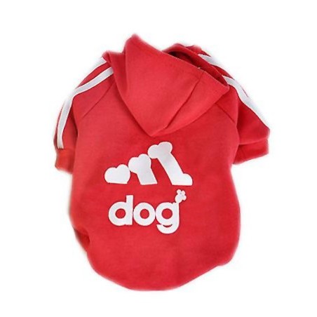 Sweat à capuche sportif pour chiens de petite taille en plusieurs couleurs